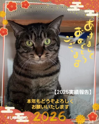 法人概要 | NPO法人いせさき地域ねこ連絡会ねこまる